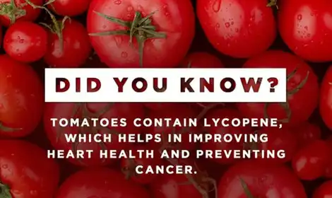 What is Lycopene? Benefits, Best Sources & More